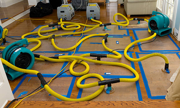Professional Structural Drying And Dehumidification technician working in East Andover, ME